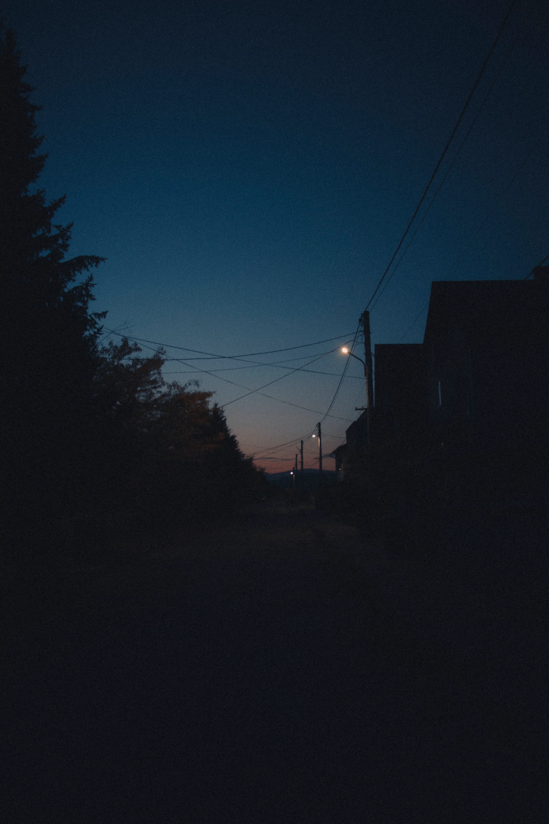 A village street and streetlights at blue hour